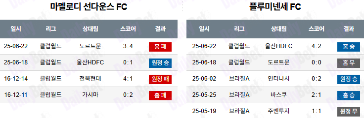 06월 26일 FIFA 클럽 월드컵 마멜로디 선다운스 vs 플루미넨시