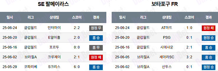 06월 29일 FIFA 클럽 월드컵 팔메이라스 vs 보타포구