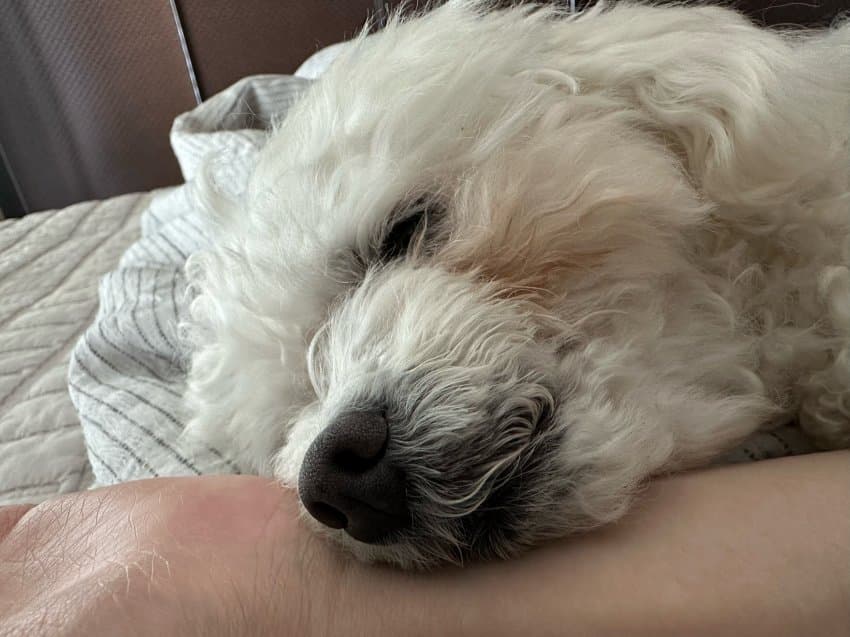 08edf177bd806cf623eaf296439c7064e94f2bedcf535aa552e3687a036495b6874c7baa8348f4b4c2e25d2549b9ae06f74dd9ac0c