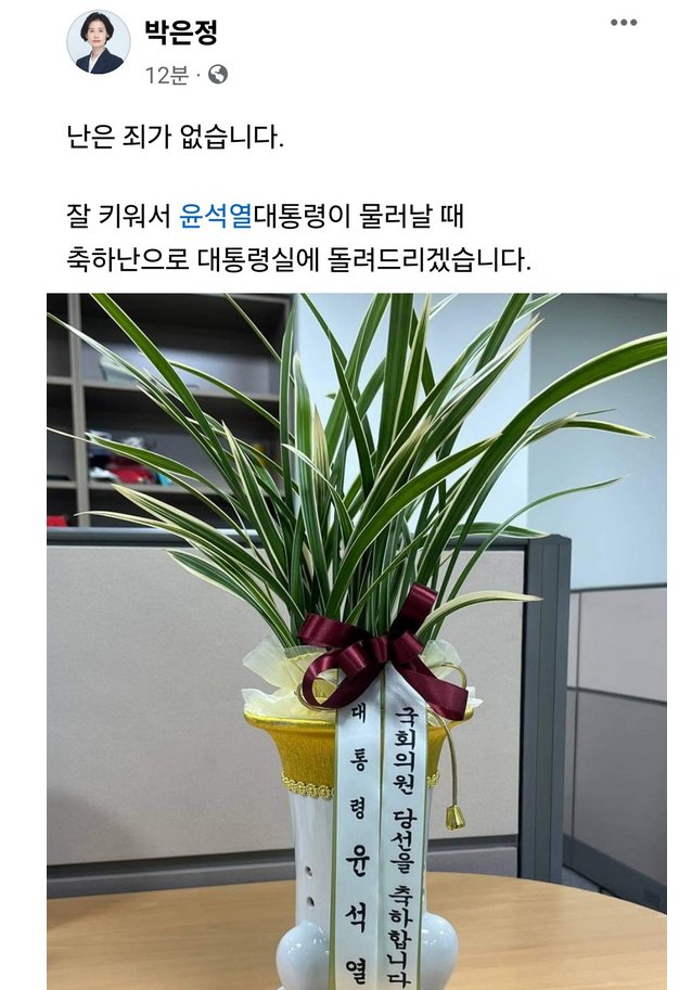 240601 조국혁신당 박은정 윤석열난.png