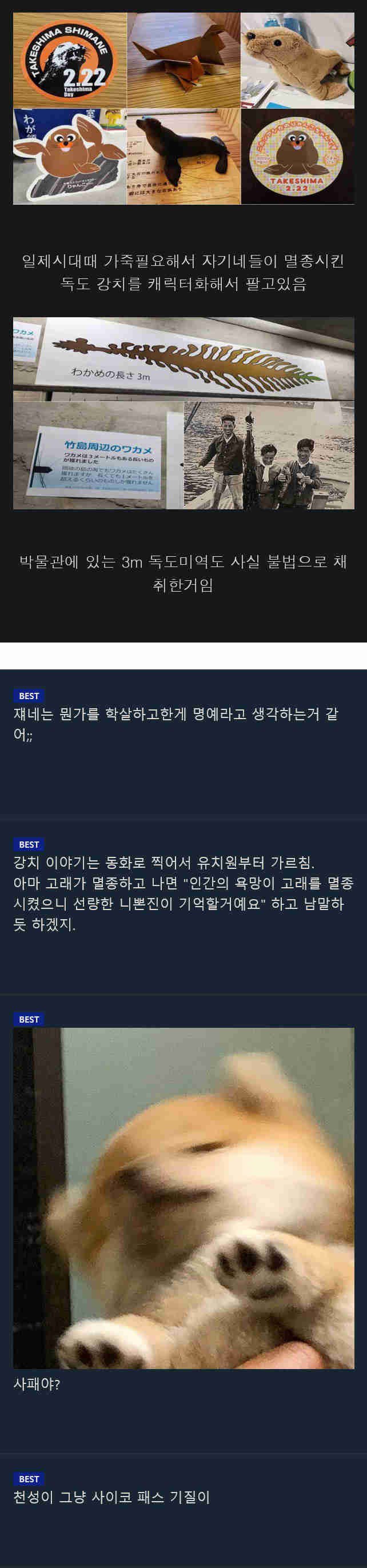 진실을 알면 소름끼치는 일본 다케시마 박물관.jpg