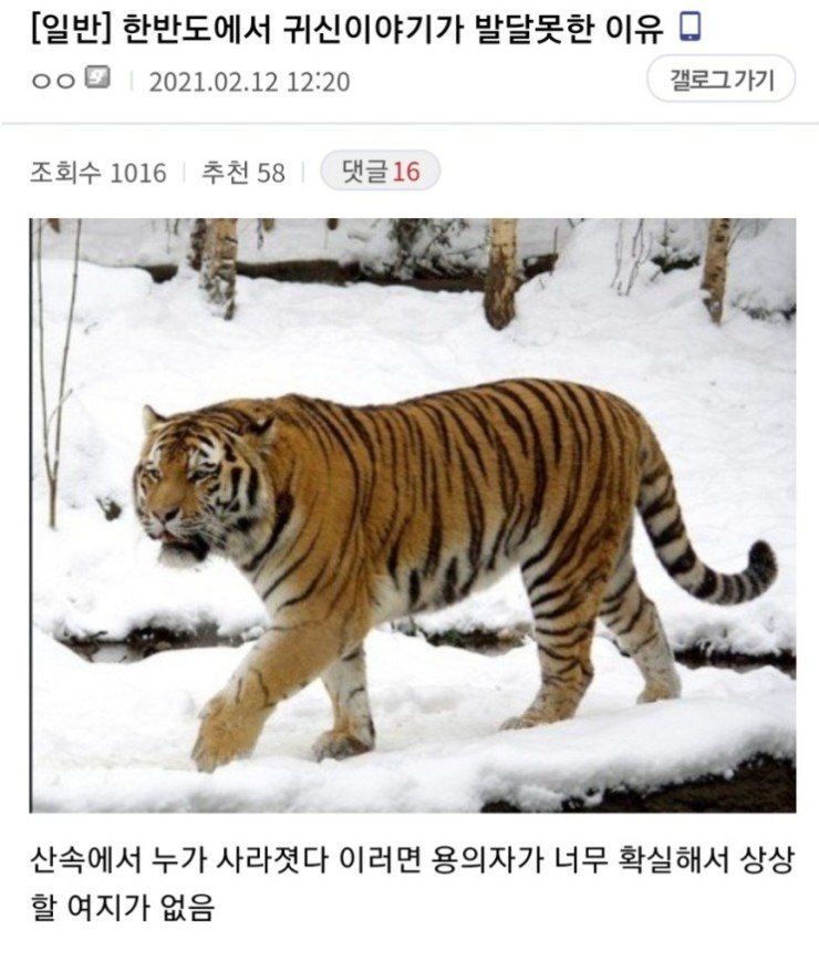 한반도에서 귀신 이야기가 발달못한 이유 산속에서 누가 사라지면 호랑이가 범인임.jpg